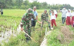 tni-brantas-tikus