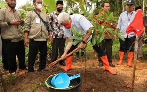 Ganjar-Telah-Tanam-101-Juta-Pohon-Sejak-Periode-Pertama-Untuk-Rehabilitasi-Hutan-dan-Lahan-Kritis-Di-Jateng