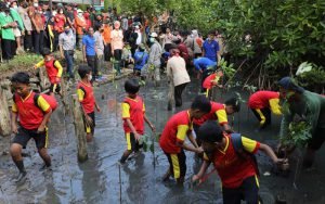 Tanam-Mangrove-Bareng-Pelajar-Ganjar-Canangkan -Ekowisata-Mangrove-Muara-Kali-Ijo 