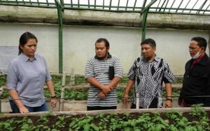 Untuk-Kemudahan-Petani-Mengelola-Keuangan, Dosen-Udinus-Semarang-Ciptakan-Smart-Agrologistik