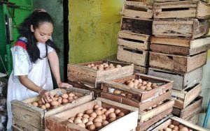 Dipicu-Kenaikan-Harga-Pakan,-Telur-Ayam-di-Salatiga-Naik-Tajam