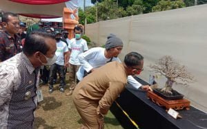 Kompass-Gelar-Kontes-dan-Pameran-Bonsai-Piala-Walikota-Salatiga,-Banyak-Tanaman-Yang-Harganya-Puluhan-Juta