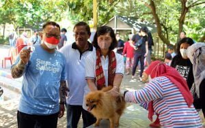 Cegah-Virus-Menular-ke-Manusia,-145-Hewan-Disuntik-Vaksin-Rabies-Gratis