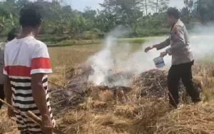 Dapati-Warga-Bakar-Jerami-di-Dekat-Tol-Ungaran-Bawen,-Ini-yang-Dilakukan-Kapolres-Semarang