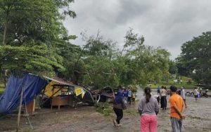 Pohon-Tumbang-di-Semarang-Timpa-Lima-Kios