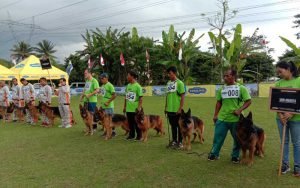 Ratusan-Anjing-Gembala-Jerman-se---Indonesia-Ikuti-Kontes-di-Tegalwaton-Tengaran