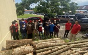 Belasan-Orang-Diamankan-Usai-Tebang-Pohon-Tanpa-Izin-di-Area-Sabuk-Hijau-Waduk-Jatibarang-Semarang