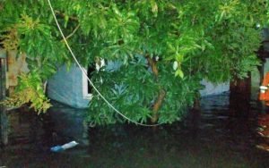 Kabel-Putus-Terendam-Banjir-di-Genuk,-Dua-Orang-Meninggal-Dunia-Tersengat-Listrik