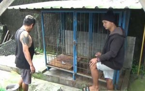 Pemilik-Anjing-Mahal-di-Salatiga-Resah,-Menyusul-Banyaknya-Kasus-Pencurian