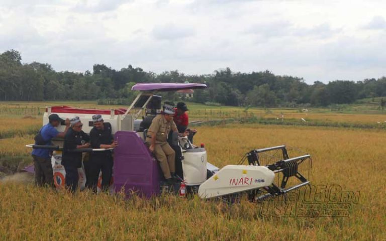 Menteri Pertanian Syahrul Yasin Limpo menjamin bahwa stok bahan pangan utama, yaitu beras, di Jawa Tengah akan mencukupi untuk Ramadan dan Idul Fitri tahun ini. Hal ini diungkapkannya saat melakukan panen raya di lahan seluas 250 hektare yang digarap Kelompok Tani Pangudi Tani Desa Boto, Kecamatan Bancak, Kabupaten Semarang pada Senin, 27 Februari 2023.