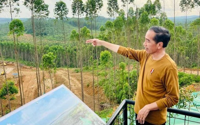 Presiden Joko Widodo meninjau lokasi Istana Kepresidenan di Ibu Kota Nusantara (IKN) Kabupaten Penajam Paser Utara dan optimistis bahwa kawasan tersebut akan siap untuk perayaan Hari Ulang Tahun (HUT) Kemerdekaan RI pada Agustus 2024. Dalam kunjungannya, Presiden menekankan bahwa Istana Kepresidenan di IKN adalah hasil karya anak bangsa dan akan memiliki daya tarik bagi investor dalam dan luar negeri.