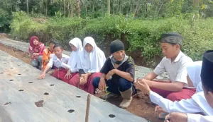 Siswa SDN Sugihan 03 Kecamatan Tengaran Kabupaten Semarang melakukan kegiatan P5 atau Projek Penguatan Profil Pelajar Pancasila dengan menanam cabai di lingkungan sekolah.