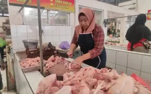 Harga daging ayam di Pasar Tradisional Suruh Kabupaten Semarang naik seiring menjelang Ramadhan. Pedagang ayam potong melaporkan kenaikan harga sekitar enam hari yang lalu disebabkan oleh permintaan pasar yang meningkat, terutama untuk keperluan hajatan dan tradisi orang Jawa.