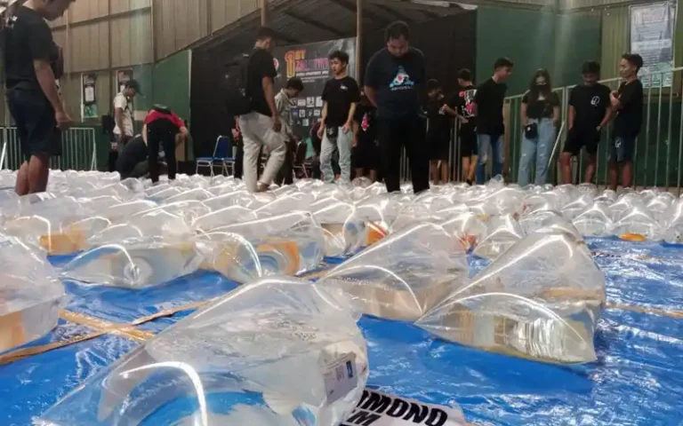 Kontes ikan koi perdana di Kota Salatiga diikuti oleh puluhan penghobi ikan koi dari berbagai kota di Pulau Jawa. Sebanyak 854 ekor ikan Koi beradu kecantikan dan kualitas dalam mini kontes koi yang diselenggarakan di Lapangan Tennis Indoor Kridanggo Salatiga.