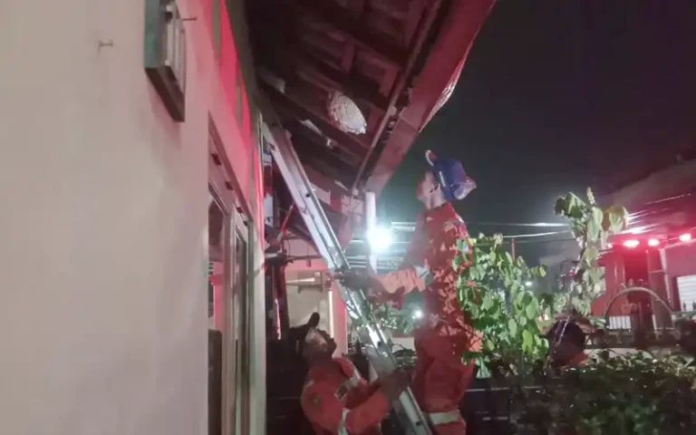 Evakuasi sarang tawon ndas di perumahan Taman Manunggal Asri, Kabupaten Semarang dilakukan oleh tim Damkar Tengaran pada malam hari. Sarang tawon yang berukuran besar dan telah membahayakan keselamatan penghuni rumah tersebut berhasil dievakuasi dengan menggunakan mobil pemadam dan alat pelindung diri.
