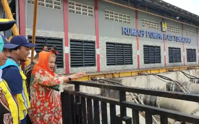 Pemerintah Kota Semarang dan Badan Pengelolaan Sumber Daya Air (BBWS) Pemali - Juana bekerja sama dalam mengatasi masalah banjir di wilayah Semarang Timur dengan memperkuat sistem drainase. Melalui kolaborasi ini, Pemerintah Kota Semarang, melalui Dinas Pekerjaan Umum (DPU), mendapatkan dukungan penuh dari BBWS Pemali - Juana yang mengelola sejumlah Daerah Aliran Sungai (DAS) di Kota Semarang.