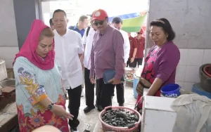 Progress Pembangunan Sheet Pile di Tambak Lorok, Wali Kota Semarang Berharap Selesai Tahun Ini