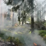 Komunitas relawan di kawasan lereng Gunung Merbabu, Kabupaten Semarang, menggalakkan patroli Kejantara sebagai langkah antisipasi terhadap kebakaran hutan. Taman Nasional Gunung Merbabu (TNGMb) merupakan wilayah yang rentan terhadap kebakaran, terutama saat musim kemarau. Relawan bekerja sama dengan TNGMb untuk mengaktifkan patroli Kejantara dan telah menyiapkan berbagai peralatan penanganan kebakaran, termasuk bak penampungan air hujan.