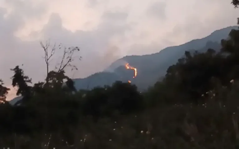 Kebakaran Hutan dan Lahan di Gunung Ungaran, Desa Candi, Kabupaten Semarang pada Kamis (12/10/2023) mengundang keprihatinan. Meskipun api berhasil dipadamkan, petugas masih waspada terhadap kemungkinan sisa bara api. Akses yang sulit dan medan curam menambah kompleksitas upaya pemadaman.