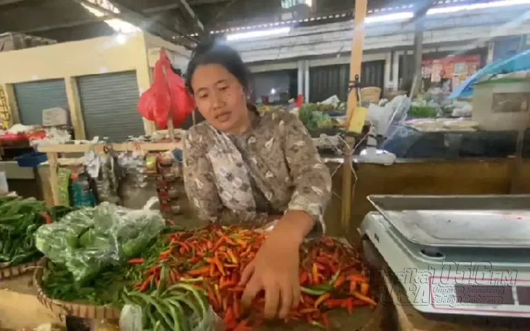 Harga cabai merah di Pasar Bandarjo Ungaran, Kabupaten Semarang mengalami lonjakan signifikan karena dampak dari musim kemarau yang berkepanjangan. Kenaikan harga ini telah mempengaruhi pasokan di pasar, sementara para petani juga mengalami kesulitan dalam produksi akibat kondisi cuaca.