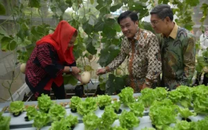 Resmikan Urban Farming di Sekolah Nusaputera, Wali Kota Semarang Apresiasi Inovasi Teknologi Pertanian Generasi Muda