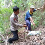 Pada Minggu (19/11/2023), kejadian tak terduga menggemparkan Fahrul (41) dan Andi (28) warga Desa Lerep, Kecamatan Ungaran Barat, Kabupaten Semarang. Keduanya, yang awalnya bermaksud mencari (memikat) burung di kawasan hutan Gunung Ungaran, justru menemukan sesosok jenazah. Peristiwa tersebut terjadi di kawasan hutan pinus, Resor Pengelolaan Hutan (RPH) petak 10-1 wilayah Desa Nyantnyono, Kecamatan Ungaran Barat, sekitar pukul 08.00 WIB.