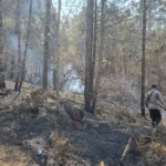 Pasca operasi pemadaman kebakaran di Taman Nasional Gunung Merbabu (TNGMb), Polsek Getasan bekerja sama dengan Koramil Getasan, relawan, dan petugas TNGMb tetap waspada dengan melakukan patroli di bekas lahan terbakar di Desa Tajuk, Kecamatan Getasan, Kabupaten Semarang. Meskipun operasi pemadaman telah dihentikan, tim masih menemukan sumber api dan berupaya memadamkannya secara manual.