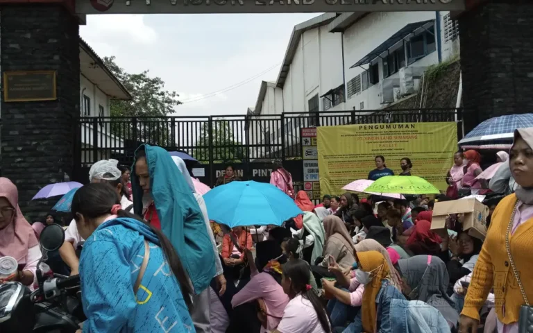 Ratusan pekerja PT Vision Land Semarang, yang berlokasi di Lingkungan Gembongan, Kelurahan Karangjati, Kecamatan Bergas, Kabupaten Semarang, menggeruduk perusahaan tersebut untuk menuntut hak mereka. Perusahaan yang bergerak di bidang produksi kain dan pakaian itu dinyatakan pailit oleh pengadilan niaga pada Pengadilan Negeri Semarang pada tanggal 2 November 2023.