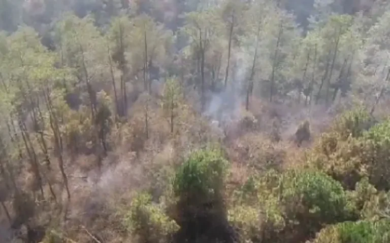 Pasca kebakaran yang melanda Taman Nasional Gunung Merbabu (TNGMb), hujan deras membantu memadamkan api. Balai TNGMb melaporkan total lahan yang terbakar mencapai 848,5 hektare (Ha), dengan wilayah Kabupaten Semarang sebagai area paling terdampak. Meski demikian, patroli rutin masih akan dilakukan untuk memastikan tidak ada titik api tersisa dan mempersiapkan diri menghadapi musim hujan yang akan datang.