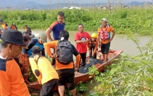Korban Tenggelam Saat Mancing di Sungai Kedung Ringis Tuntang Ditemukan, Pencarian Terkendala Tebalnya Eceng Gondok