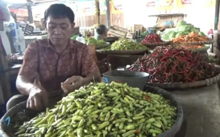 Harga semua jenis cabai di pasar tradisional Blauran di Kota Salatiga, Jawa Tengah, melambung dampak gagal panen, membuat para pedagang dan pembeli merasakan kenaikan yang signifikan selama seminggu terakhir. Harga cabai merah rawit naik dari Rp 60.000 menjadi Rp 75.000 per kilogram, sedangkan cabai rawit hijau melonjak dari Rp 30.000 menjadi Rp 50.000 per kilogram, dan cabai keriting merah dari Rp 45.000 menjadi Rp 60.000 per kilogram.