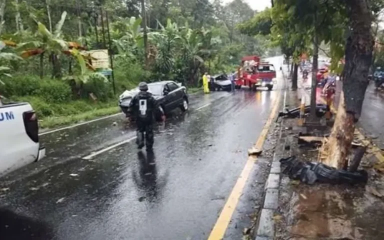 Akibat hujan deras yang melanda Kota Salatiga sejak siang, dua pengendara mobil mengalami kecelakaan di Jalan Lingkar Selatan (JLS) Salatiga pada sore hari, 9 Maret 2024. Menurut Kasi Humas Polres Salatiga Iptu Henri Widyoriani, kecelakaan tersebut terjadi di dekat area Sumur Wali, Kecamatan Sidomukti, Kota Salatiga.