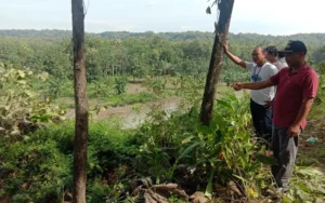 Hujan deras yang melanda Desa Plumutan, Kecamatan Bancak, Kabupaten Semarang, Jawa Tengah, pada Jumat malam (15/3/2024) menyebabkan longsor pada bantaran sungai. Longsor ini dipicu oleh derasnya aliran sungai Gobak yang menggerus bantaran di sekitarnya, mengancam jalan utama yang menghubungkan antar kecamatan dan kabupaten tetangga.