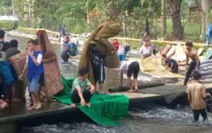 Ratusan warga Desa Rowoboni, Banyubiru, Kabupaten Semarang, berbondong-bondong menuju sumber air Muncul menjelang bulan suci Ramadan untuk mencuci karpet dan sajadah. Tradisi ini, termasuk santri seperti Muhammad Zaidi, yang menjelaskan bahwa membersihkan piranti salat ini merupakan bagian dari tradisi menjelang bulan puasa.