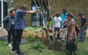 Pada Selasa, 14 Mei 2024, Pimpinan Universitas Kristen Satya Wacana (UKSW) bersama rekan media di wilayah Salatiga dan Kabupaten Semarang melakukan penanaman dua pohon Kamboja (Plumeria acuminata) sebagai simbol persahabatan, bertempat di samping Balairung Universitas. Kegiatan ini diadakan setelah acara "Studium Generale dan Praktisi Mengajar" yang dihadiri oleh Wakil Menteri Desa, Pembangunan Daerah Tertinggal, dan Transmigrasi RI, Prof. Dr. H. Paiman Raharjo.