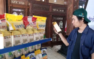 Perum Bulog berperan aktif dalam menekan inflasi dan memberdayakan UMKM melalui program tanggung jawab sosial dan lingkungan (TJSL) dengan memberikan bantuan modal untuk pendirian Rumah Pangan Kita (RPK). Program ini, yang dijelaskan oleh Sopran Kenedi, Pemimpin Wilayah Perum BULOG Kanwil Jawa Tengah, bertujuan untuk stabilisasi harga dan pasokan pangan serta pemberdayaan UMKM, dengan memberikan bantuan kepada 33 pelaku UMKM di 18 kecamatan di Kabupaten Semarang, masing-masing menerima modal Rp5 juta berupa produk pangan Bulog, rak pajang, dan spanduk RPK.