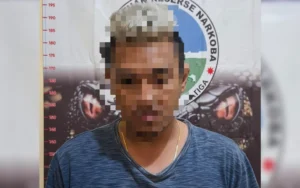 Seolah Tidak Ada Jera, Penikmat Gorilla Diamankan Polisi