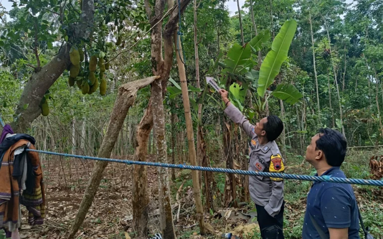 JM (24), warga Dusun Sukorejo, Desa Bakalrejo, Kabupaten Semarang, ditemukan tewas dalam keadaan tergantung di pohon jati di belakang rumahnya pada Kamis (26/9/2024) sore. Peristiwa ini pertama kali ditemukan oleh ibu korban, Samroti (59), yang histeris saat melihat anaknya menggantung ketika hendak ke kamar mandi.