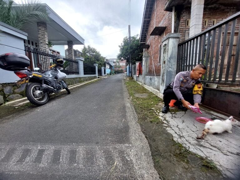 Aiptu Sunardi, anggota Bhabinkamtibmas Kelurahan Dukuh Kecamatan Sidomukti Kota Salatiga, setiap hari memberi makan kucing liar di 10 lokasi berbeda, seperti Mapolres Salatiga, Mapolsek Sidomukti, dan sekitar perempatan traffic light Grogol Baru. Kegiatan ini telah rutin dilakukan sejak ia menjadi Bhabinkamtibmas sekitar 10 tahun lalu, dengan makanan kucing yang ia bawa dalam boks di motornya.