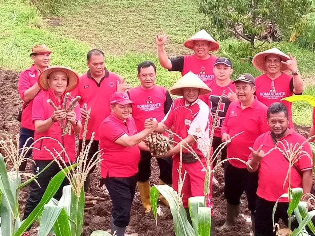 Dalam rangka memperingati HUT ke-52 Partai Demokrasi Indonesia Perjuangan (PDIP), DPC PDIP Kabupaten Semarang melakukan penanaman tanaman pengganti beras di Desa Lerep, Ungaran Barat, Kabupaten Semarang, pada Jumat (17/1/2025), sebagai tindak lanjut instruksi Ketua Umum Megawati Soekarnoputri untuk mendukung ketahanan pangan nasional.