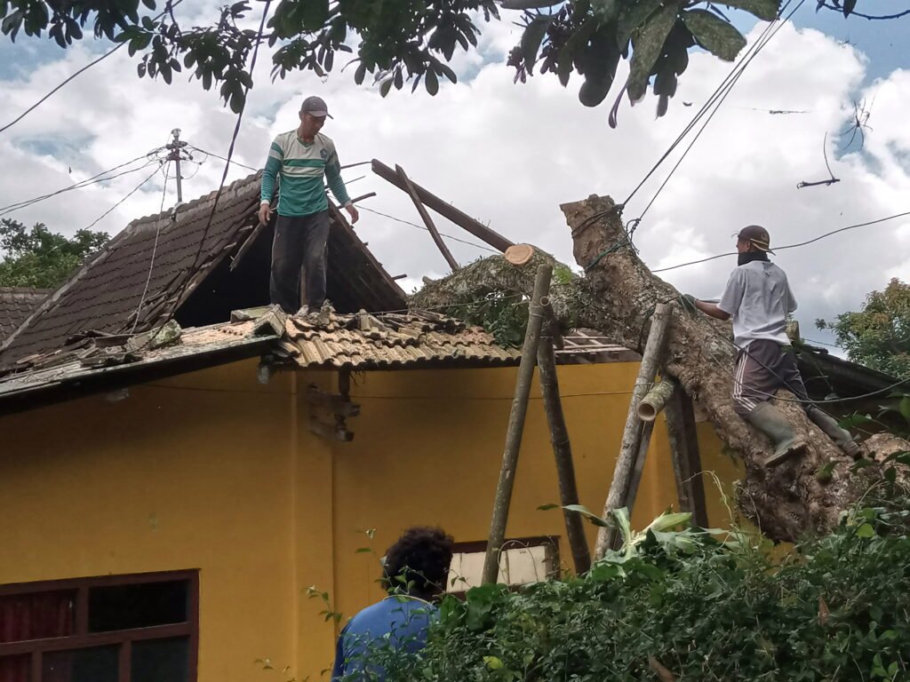 Pohon kelengkeng tua tumbang di Dusun Ngasem, Desa Jetis, Kecamatan Bandungan, Kabupaten Semarang, menyebabkan dua orang terluka. Kejadian ini menimpa Saliyem (80) yang sedang tidur di kamar saat pohon roboh sekitar pukul 02.30 WIB, Kamis (6/2/2025), serta Supadi (63), tetangga Suralim, yang jatuh saat bekerja bakti membersihkan pohon.