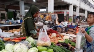 Harga cabai rawit merah di pasar tradisional Salatiga melonjak hingga Rp 100.000 per kilogram, menyebabkan kekhawatiran di kalangan pedagang dan konsumen. Kenaikan harga ini disampaikan oleh Rumini, seorang pedagang di Pasar Raya 1 Salatiga, yang menyebut bahwa tren kenaikan telah terjadi sejak Februari dan mencapai puncaknya pada Minggu, 9 Maret 2025.