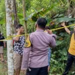 Penemuan sesosok jenazah di dalam sumur tua di tengah hutan Desa Kalibeji, Kecamatan Tuntang, Kabupaten Semarang, menggegerkan warga pada Jumat, 13 Juni 2025. Jenazah pertama kali ditemukan oleh Sunarno (35), warga setempat, saat mencari rumput dan mencium bau menyengat yang sudah tercium sejak dua hari sebelumnya.