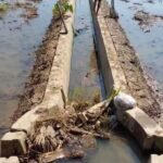 200 Kilometer Irigasi Rusak, Petani Kabupaten Semarang Dihantui Krisis Air