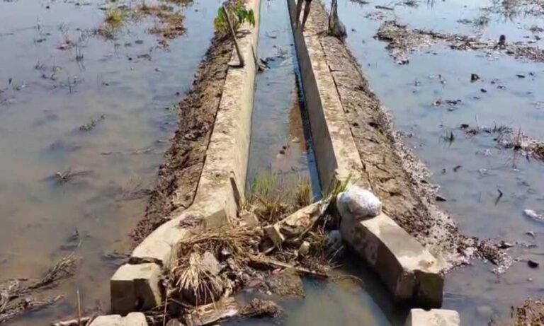 abupaten Semarang menghadapi tantangan serius dalam produksi pertanian akibat kerusakan infrastruktur irigasi yang meluas, dengan lebih dari 200 kilometer saluran sekunder dan jumlah lebih besar lagi di saluran tersier yang rusak, seperti diungkapkan Kepala Dinas Pertanian, Perikanan, dan Pangan Kabupaten Semarang Muh Edy Sukarno di kantornya pada Jumat (8/8/2025).