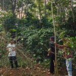 Universitas Kristen Satya Wacana (UKSW) bekerja sama dengan Kementerian Pendidikan Tinggi, Sains, dan Teknologi Republik Indonesia meluncurkan program strategis pemberdayaan usaha tani kopi berbasis komunitas di Dusun Cukil, Kabupaten Semarang, sejak Juni hingga Desember 2025, guna mengoptimalkan potensi lokal secara berkelanjutan.