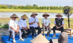 Pemulihan lahan pertanian di Demak dilakukan melalui kegiatan “Wiwitan Tandur Pari” di Karangtengah setelah banjir merendam sawah petani. Pemerintah Provinsi Jateng bersama BI, Pemkab, Pertamina, BBWS, serta masyarakat bergotong royong mendukung. Upaya ini penting karena Demak penyumbang utama produksi padi, sehingga koordinasi lintas sektor diperlukan agar produktivitas pulih.
