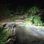 Hujan deras dan angin kencang menumbangkan pohon beringin raksasa di Desa Pakis, Bringin, Kabupaten Semarang, Senin (29/9/2025) sore. Pohon berdiameter 4 meter ini menutup jalur Semarang–Grobogan dan padamkan listrik hingga 12 jam. BPBD bersama tim gabungan evakuasi dengan memotong batang hingga jalan kembali dibuka Selasa pagi.