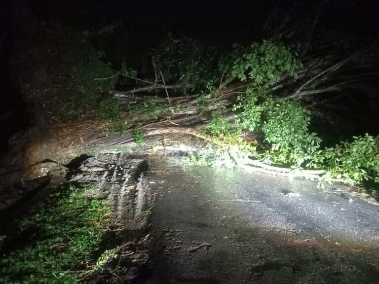 Hujan deras dan angin kencang menumbangkan pohon beringin raksasa di Desa Pakis, Bringin, Kabupaten Semarang, Senin (29/9/2025) sore. Pohon berdiameter 4 meter ini menutup jalur Semarang–Grobogan dan padamkan listrik hingga 12 jam. BPBD bersama tim gabungan evakuasi dengan memotong batang hingga jalan kembali dibuka Selasa pagi.