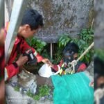 Petugas Regu 3 Damkar Kota Salatiga mengevakuasi seekor kucing dari sumur sedalam 10 meter di Jalan Arjuna Dukuh, Sidomukti, Jumat (19/9/2025). Laporan warga Sofi Supriyadi diterima pukul 16.42 WIB. Evakuasi dilakukan dengan peralatan lengkap demi keselamatan. Kucing diserahkan ke pemilik, warga diimbau menutup sumur.